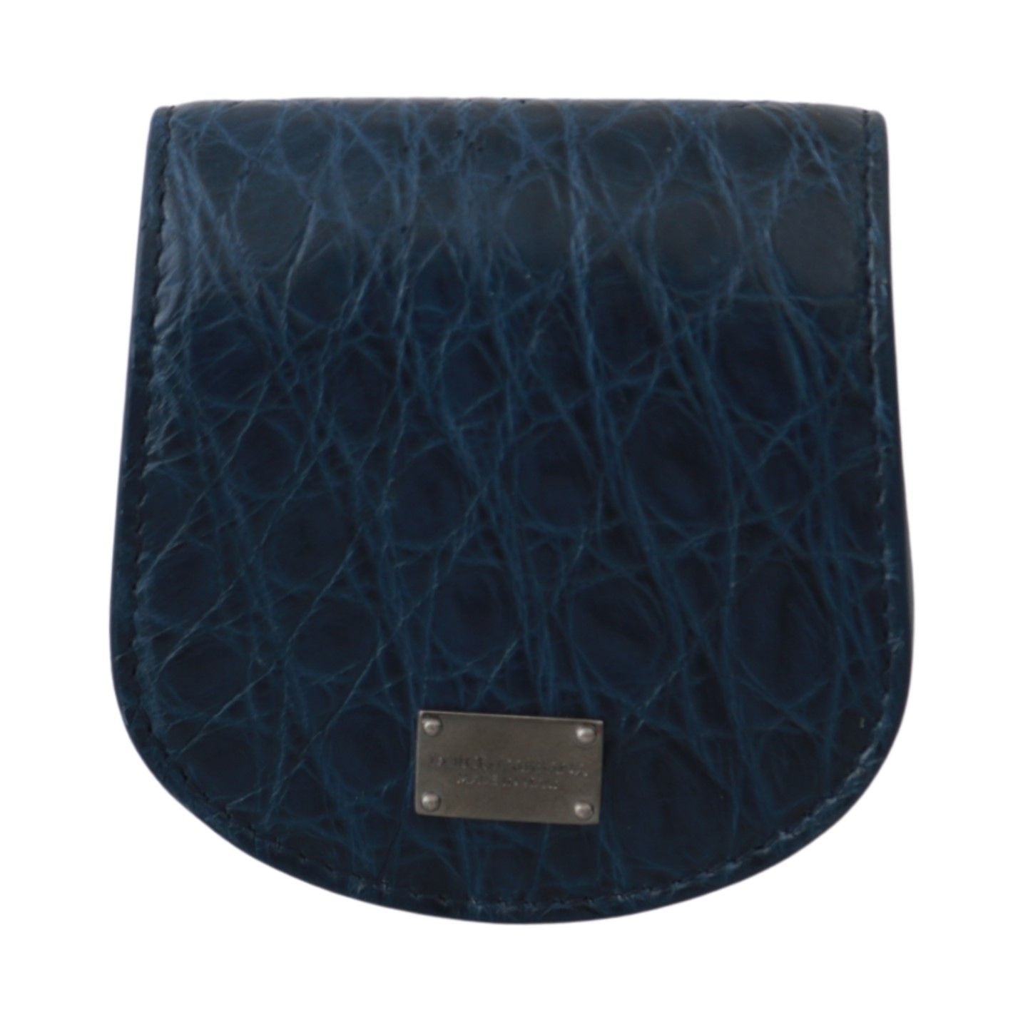 Dolce & Gabbana Blue Holder Pocket Wallet Blue Exotic Skin Cm Case